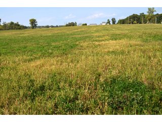 Dekalb County, Indiana Farmland - MAJOR LAND AUCTION - 516+/- ACRES OFFERED IN 18 TRACTS OR COMBINATIONS IN DEKALB COUNTY, INDIANA